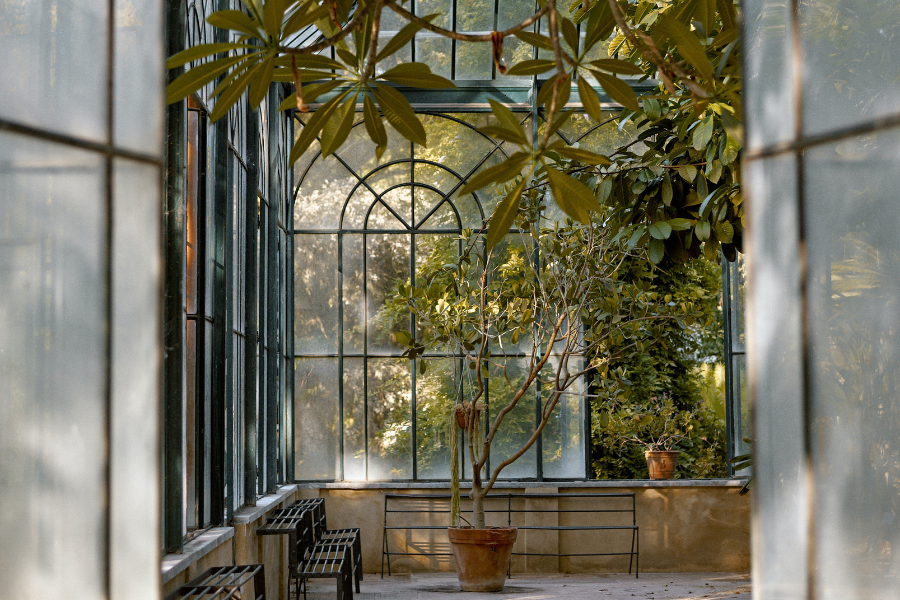 Window Cleaning placeholder image